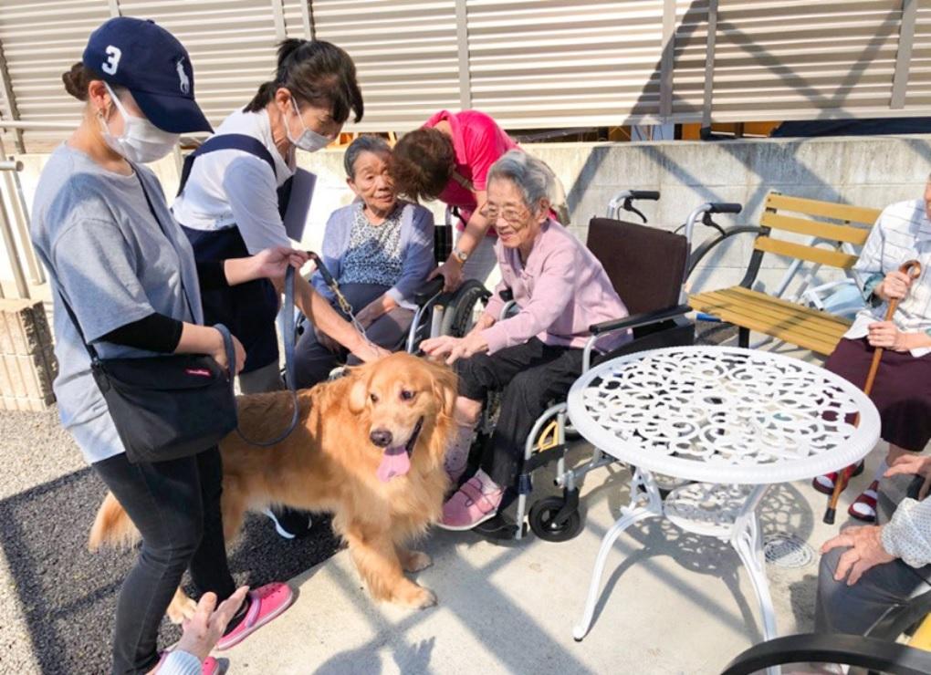 メディカル・ケア・サービス（学研グループ）|＜流山市＞愛の家グループホーム流山美原　ユニットリーダー（正社員）