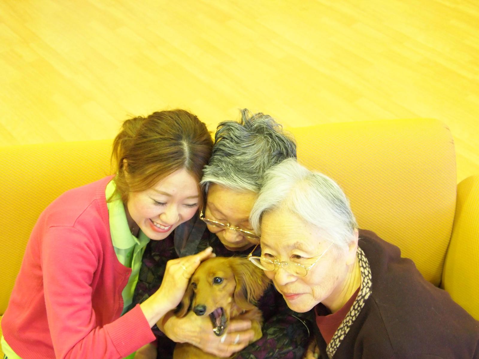 社会福祉法人貞徳会|【一宮市／特養／相談員】特別養護老人ホームガーデンハウス今伊勢