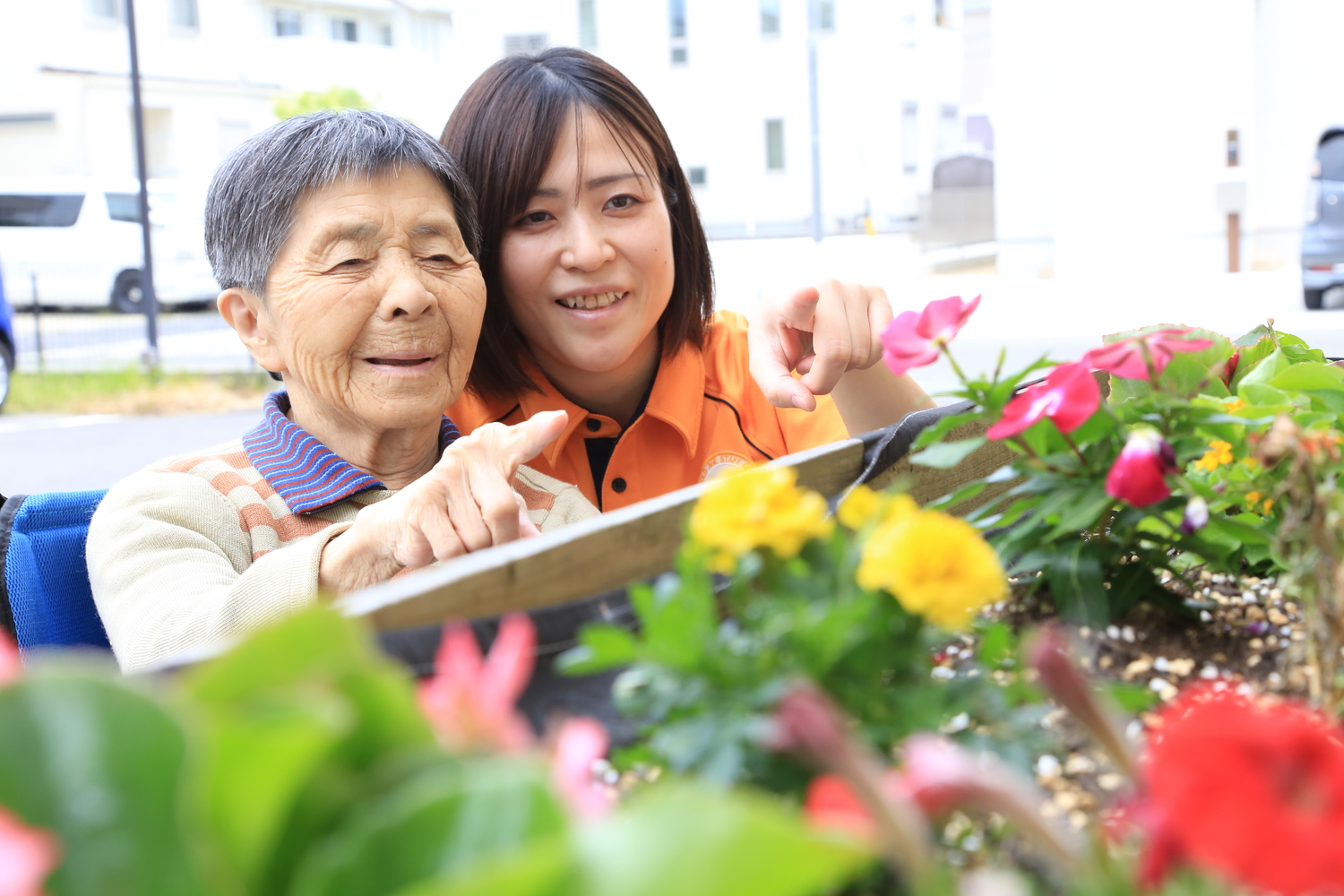 ゴールドエイジ株式会社／ゴールドエイジオリーブ