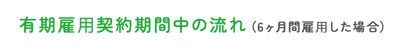 有期雇⽤契約期間中の流れ（6ヶ月間雇⽤した場合）