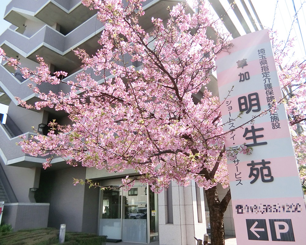 株式会社明昭／草加明生苑（デイサービス）