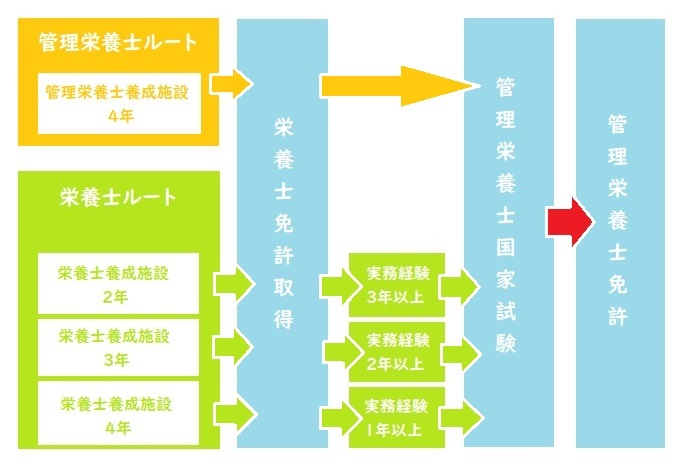 【管理栄養士を目指すルート】  